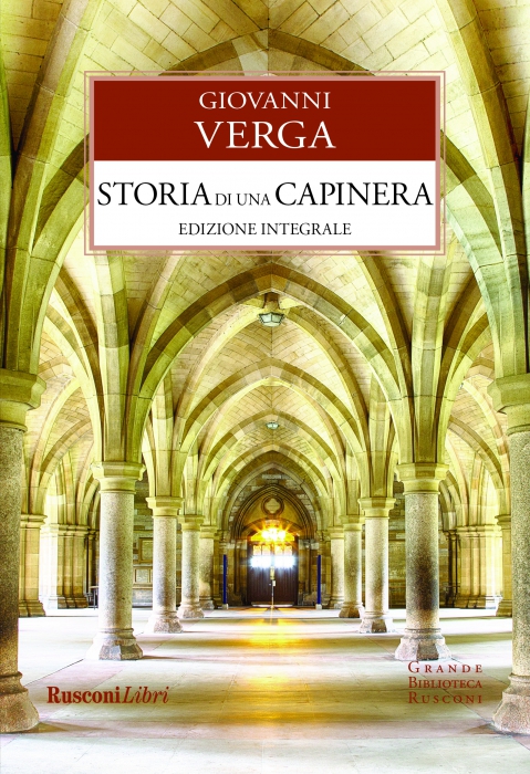 Copertina de STORIA DI UNA CAPINERA