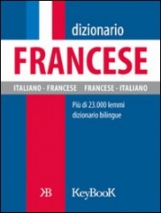 Copertina de DIZIONARIO FRANCESE