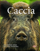 Copertina de CACCIA