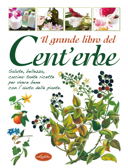 Copertina de GRANDE LIBRO DEL CENT'ERBE, IL