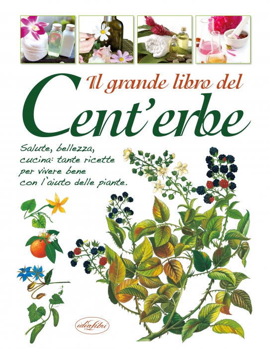 Copertina de GRANDE LIBRO DEL CENT'ERBE, IL