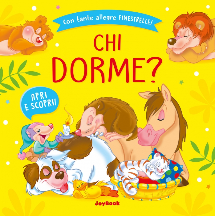 Copertina de CHI DORME?