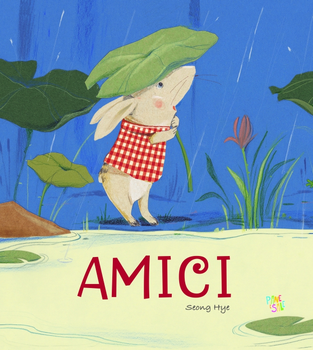 Copertina de AMICI